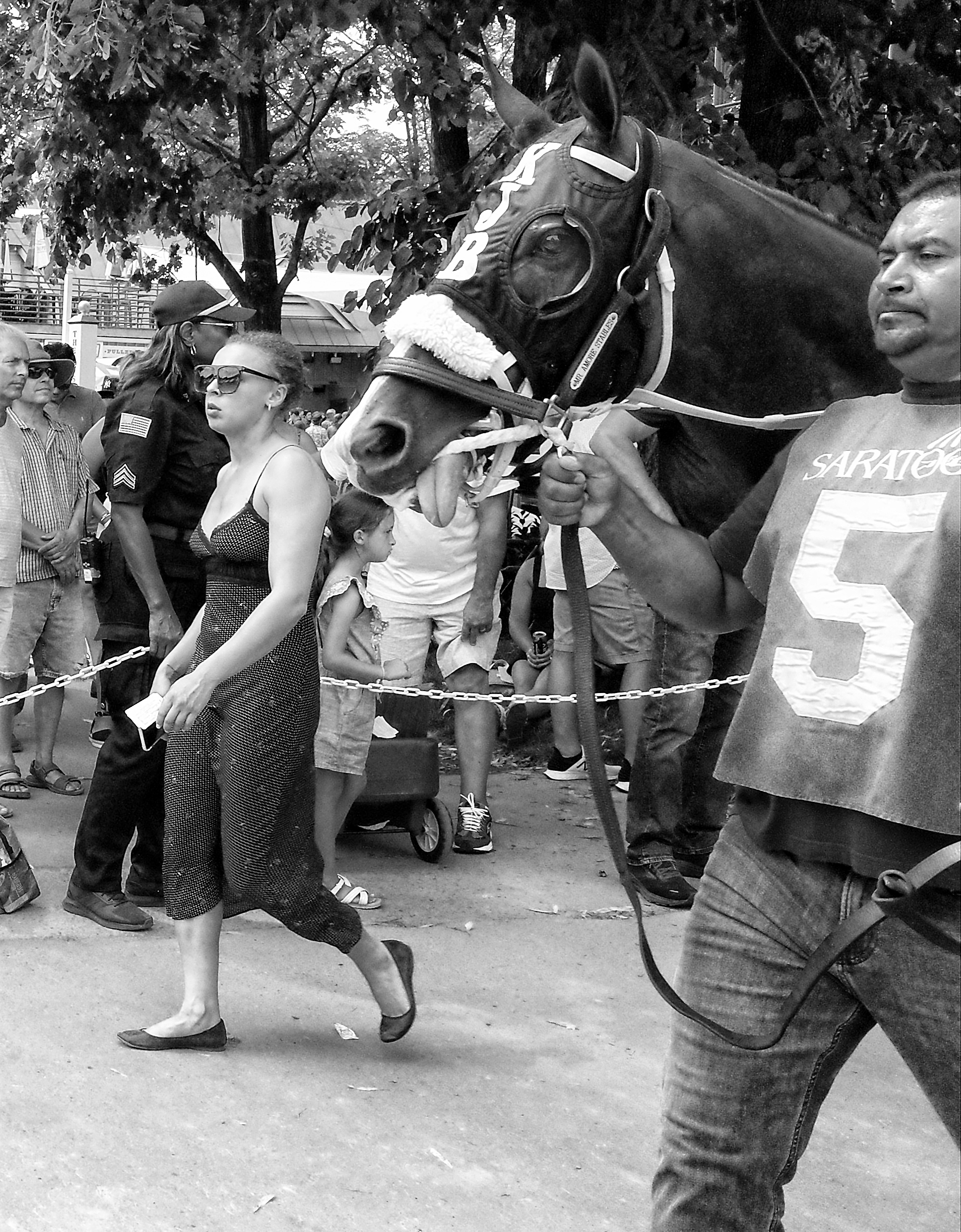 ありがとう、クック博士 – 競馬の間違い